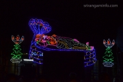 Vaikunda ekadasi 2015 LED perumal
